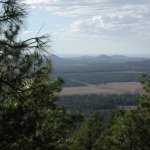 Davenport Hill