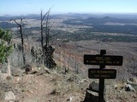 Heart Trail