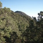 Cherum Peak Cherum Peak