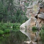 Horse Crossing - East Clear Creek