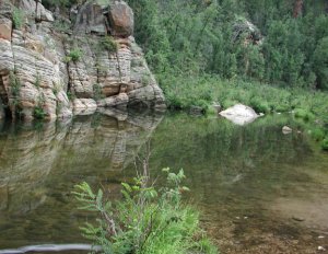 Horse Crossing - East Clear Creek