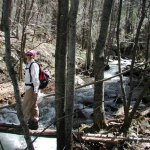 Christopher Creek - See Canyon