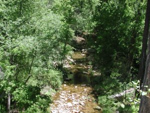 Pine Canyon