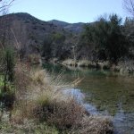 Cave Creek Cave Creek