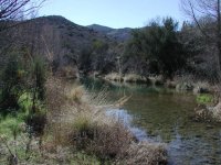 Cave Creek
