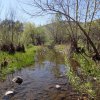 Cave Creek Loop hike (Cave creek trail and Skunk Tank trail)