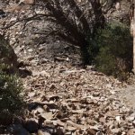 Cooper Forks Canyon