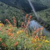 Pipeline Canyon Trail