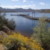 Palo Verde Trail