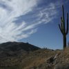 Mesquite Canyon-Willow Canyon loop (White Tanks)