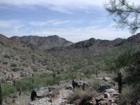 Freedom Trail (Piestewa Peak) Freedom Trail (Piestewa Peak)