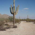 San Tan Regional Park trails San Tan Regional Park trails
