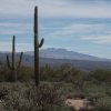 North Loop-McDowell Mountain Park
