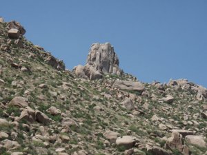 Tom's Thumb