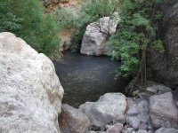 Fish Creek (Upper) Fish Creek (Upper)