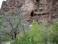 Fish Creek (Lower)