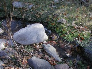 Brushy Spring (Campaign Creek)