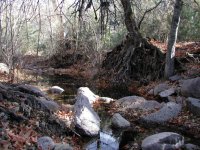 Haunted Canyon (Tony Ranch) Haunted Canyon (Tony Ranch)