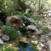Haunted Canyon (Tony Ranch)