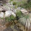 Marion Spring