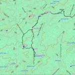 Cornucopia- Thicket Spring Loop Cornucopia- Thicket Spring Loop