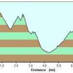 Cornucopia- Thicket Spring Loop Cornucopia- Thicket Spring Loop