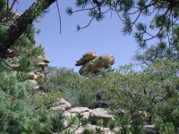 Chiricahua - Heart of Rocks Loop