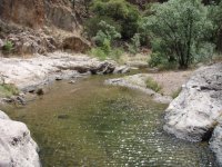 Sycamore Canyon