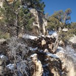Grandview Trail to Horseshoe Mesa