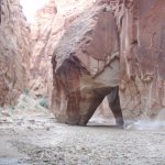 Paria River Canyon (Buckskin Gulch and Wire Pass) Paria River Canyon (Buckskin Gulch and Wire Pass)