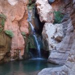 Elves Chasm Elves Chasm