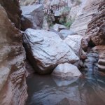 Fern Glen