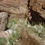 Mohawk Canyon Mohawk Canyon