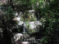 Grapevine trail