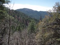 Groom Creek Loop