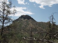 Pine Lakes Trail #316