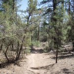 Pine Lakes Trail #316 Pine Lakes Trail #316