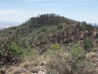 Spruce Mountain