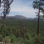 Spruce Mountain Spruce Mountain