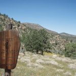 Juniper Spring Juniper Spring