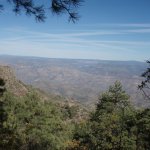 Pine Mountain Pine Mountain