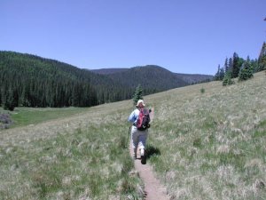 Mount Baldy