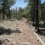Gaddes Spring Trail #110