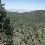 Gaddes Spring Trail #110