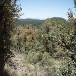 Gaddes Spring Trail #110