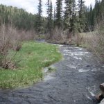 Thompson Trail #629