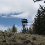 Escudilla Mountain