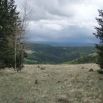 Escudilla Mountain