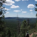 Drew Trail #291