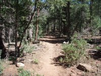Drew Trail #291 Drew Trail #291